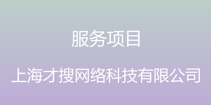 服务项目 - 上海才搜网络科技有限公司